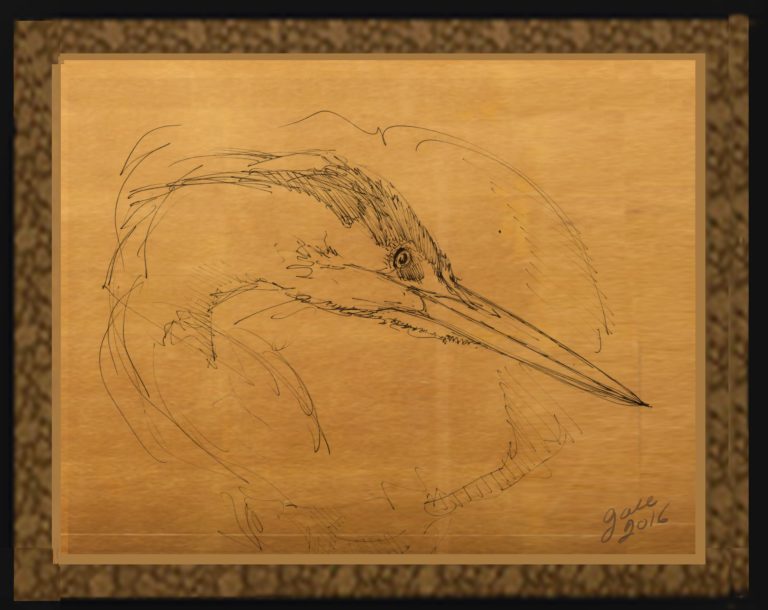 Blue Heron Head Blue Heron Head